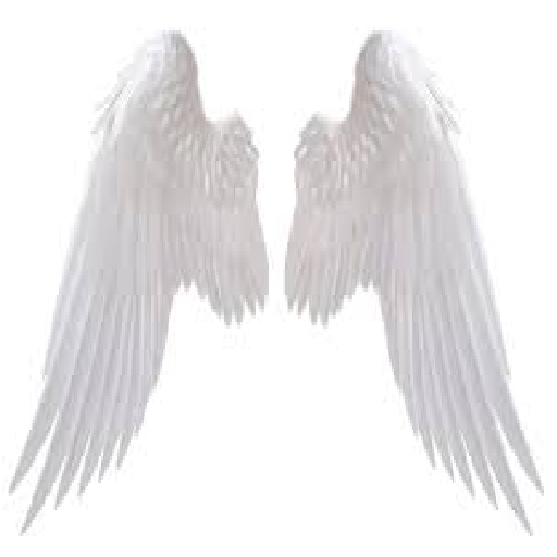Texture for angel wings