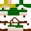 Texture for Link