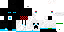Texture for 師師