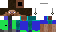 Texture for Parallel Steve