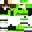 Texture for leo