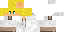 Texture for CarnationHawk
