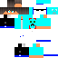 Texture for SkyFoxNight
