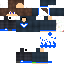 Texture for Feitan008