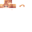 Texture for New Camron