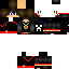 Texture for LaGGeR31