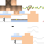 Texture for sg1301