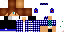 Texture for max