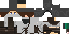 Texture for assasins creeed