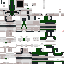 Texture for trooperturtle