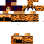 Texture for Tiger