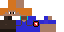 Texture for sam