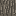 Texture for acacia_bark