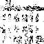 Texture for bug
