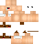 Texture for Bob