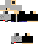 Texture for 羽毛