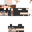 Texture for Raphael12