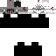 Texture for PH6L6P