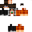 Texture for ds