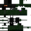 Texture for svo