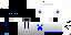 Texture for ender