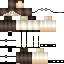 Texture for Steve