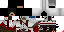 Texture for altair