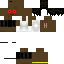 Texture for Nowze