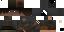 Texture for Ender