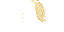 Texture for Cream White Angel Wings