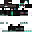 Texture for Satax
