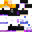 Texture for Flicky_GG