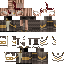 Texture for ds