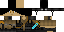 Texture for wsd