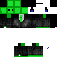 Texture for G Guess