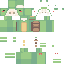 Texture for Lkdmap Turtle