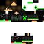 Texture for sassa8