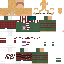 Texture for NG-Amigo