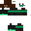 Texture for _Timx_