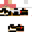 Texture for Avida
