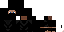 Texture for Axxassin ninja