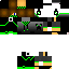 Texture for steve