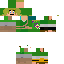 Texture for Link
