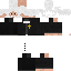 Texture for priest