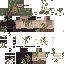 Texture for dsd