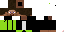 Texture for adam11