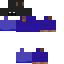 Texture for Nignt Cat