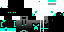 Texture for Ender