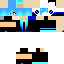 Texture for IRON SWAG