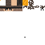 Texture for Head
